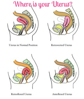 uterus position